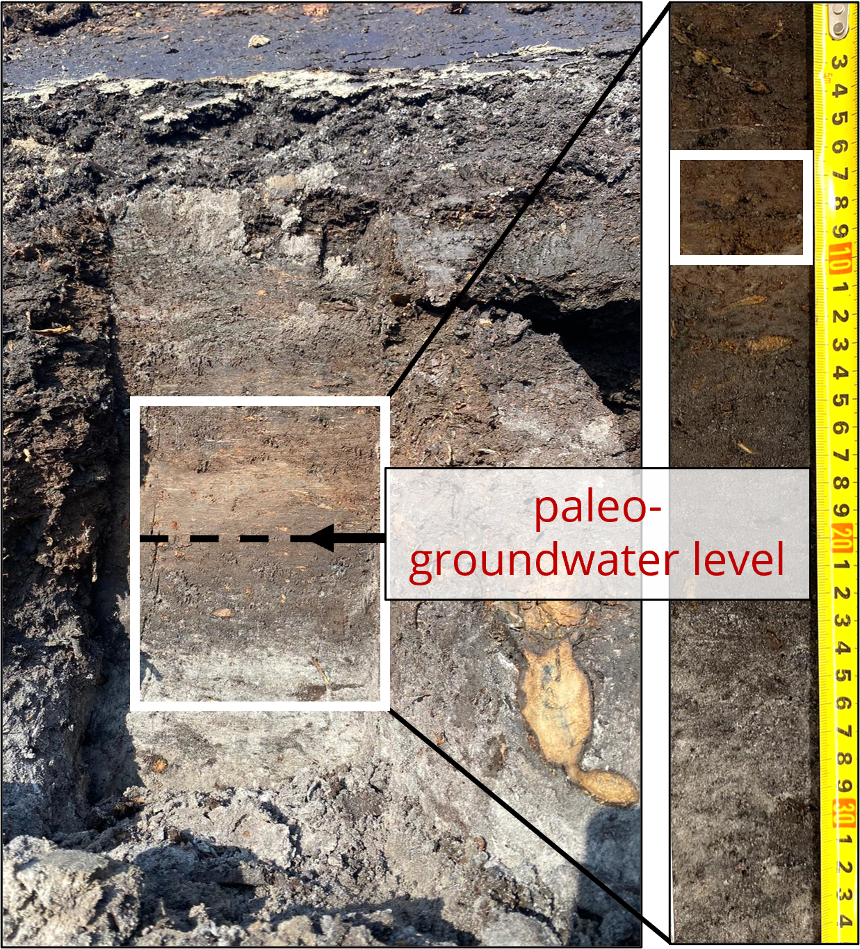Paleo groundwater levels in Urk